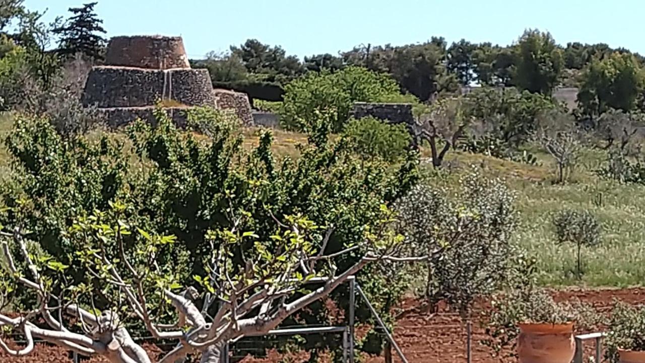 Villa Aurora Santa Maria al Bagno Εξωτερικό φωτογραφία